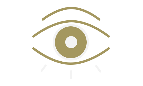 eye icon